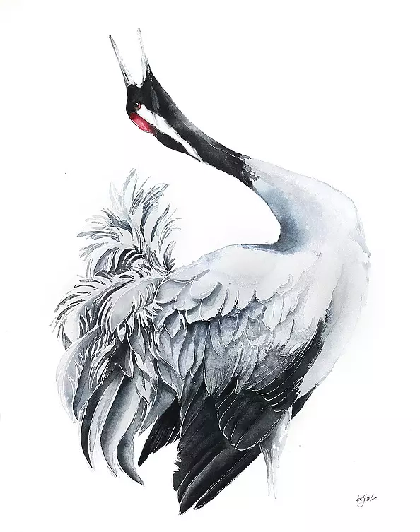 Karolina Kijak - crane