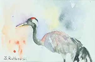 Zdzisław Rutkowski - Żuraw