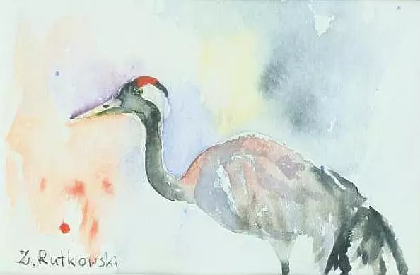 Zdzisław Rutkowski - Żuraw