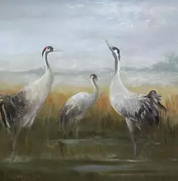 Danuta Drzewiecka - Cranes