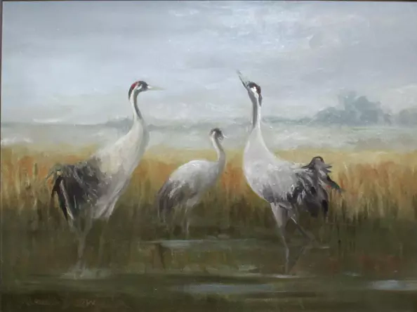 Danuta Drzewiecka - Grues