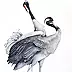 Karolina Kijak - Cranes