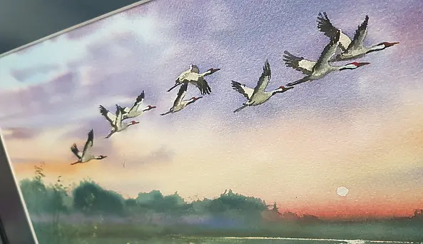 Karolina Majer - Cranes