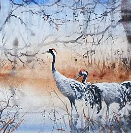 Karolina Majer, Zurawie, Akwarele - , 31 x 23