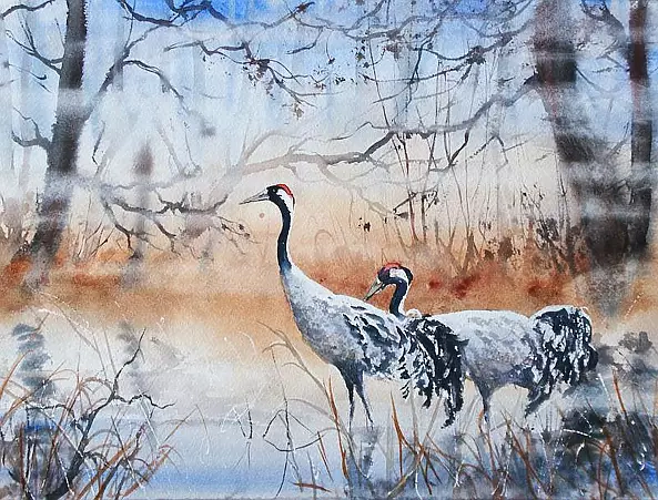 Karolina Majer - Cranes