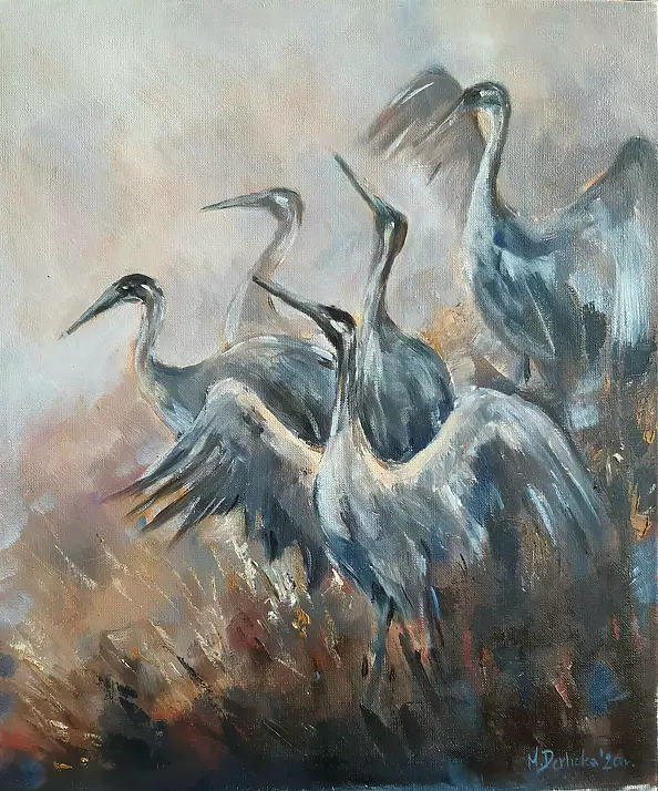 Michalina Derlicka - Żurawie