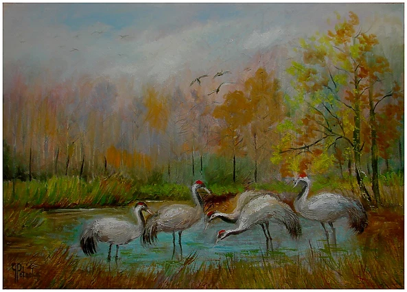 Grażyna Potocka - Cranes oil painting 50-70cm