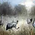 Tadeusz Sobkowiak - Cranes