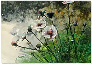 Joanna Magdalena - Mirrors