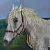 Magdalena Walulik - Tiere - Pferd 30 x 40