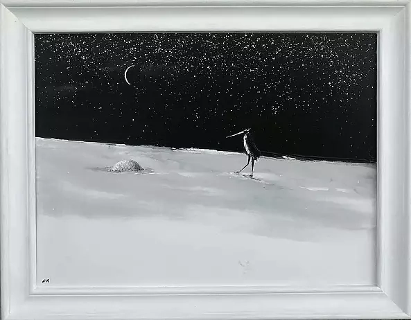 Andrzej Cybura - Życie na księżycu