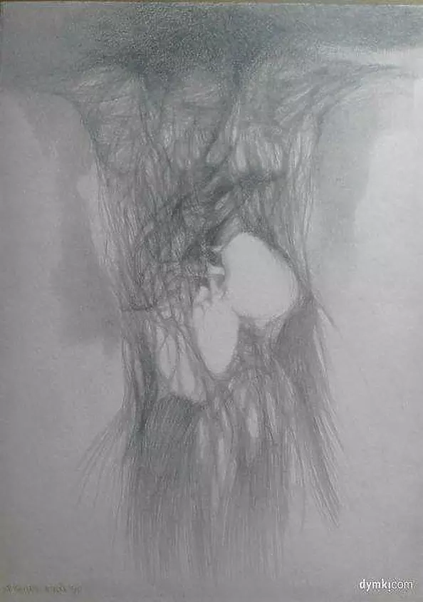 Zbigniew Bień - Żylastość