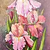 Małgosia Mutor Bar, "Iris in rosa" 30/40, Quadro ad acrilico - tela, 30 x 60