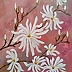 Małgosia Mutor Bar - "Starry magnolia from my garden" 30/40