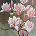 Małgosia Mutor Bar, "Magnolia di Jemielnica" 30/40, Quadro ad acrilico - tela, 30 x 40