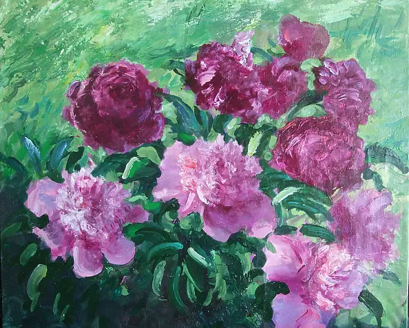 Самойлик Елена - Пионы в саду