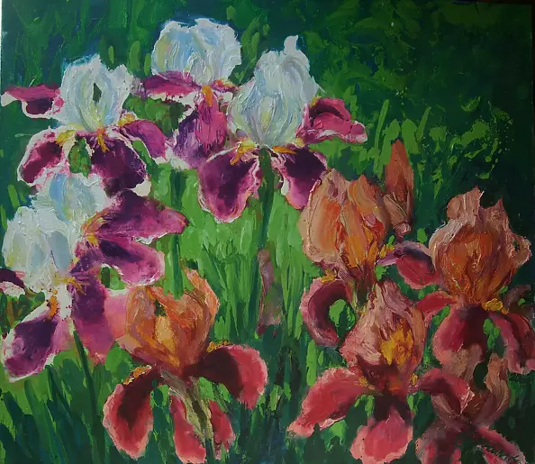 Самойлик Елена - Ирисы в саду