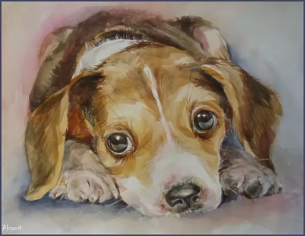 Halina Aksamit - "Все в жизни начинается с малого ..."