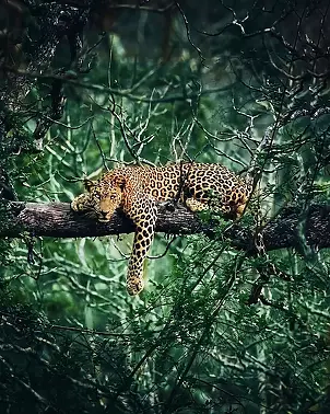   - Воистину чудо природы!