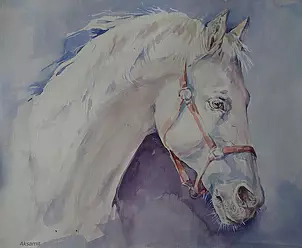   - Набросок лошади