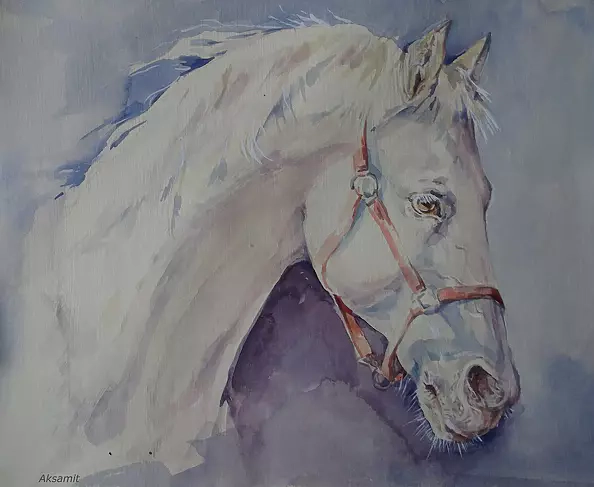 Halina Aksamit - Набросок лошади