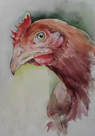   - Курочка-Ряба