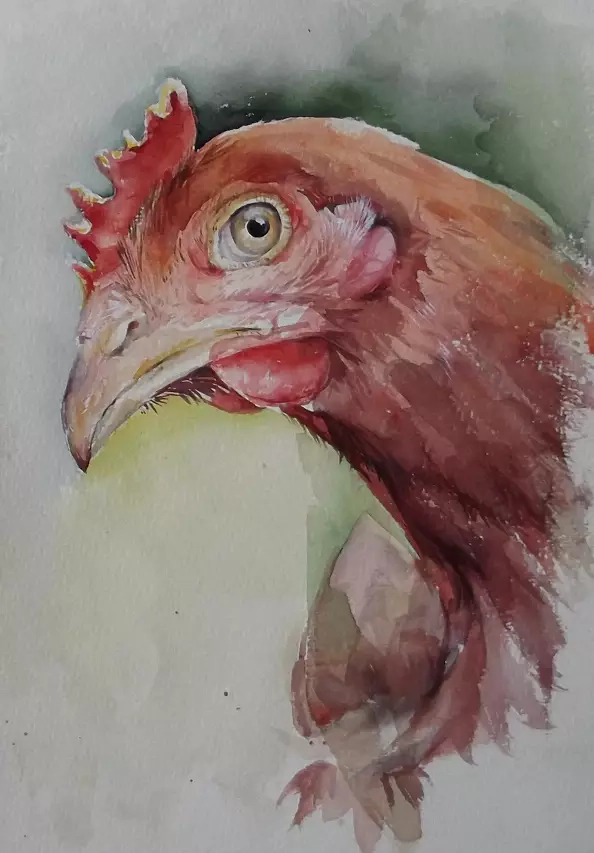 Halina Aksamit - Курочка-Ряба