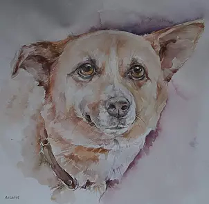   - Собака - друг