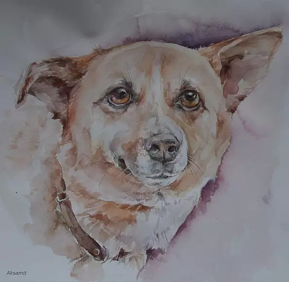 Halina Aksamit - Собака - друг