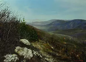 Светлана Бердник - Белые камни.