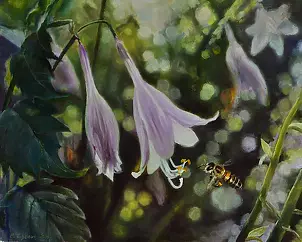 Светлана Бердник - Летний сон .