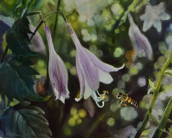 Светлана Бердник - Летний сон .