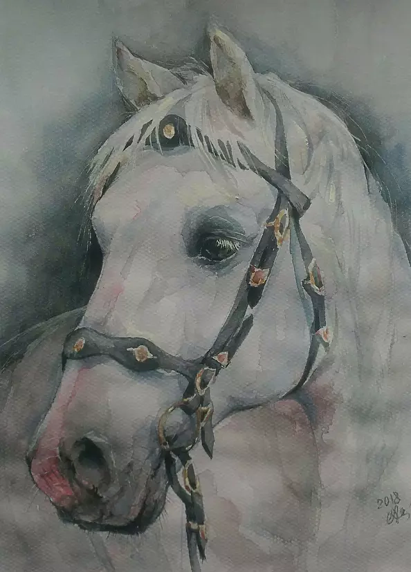 Halina Aksamit - Белый конь