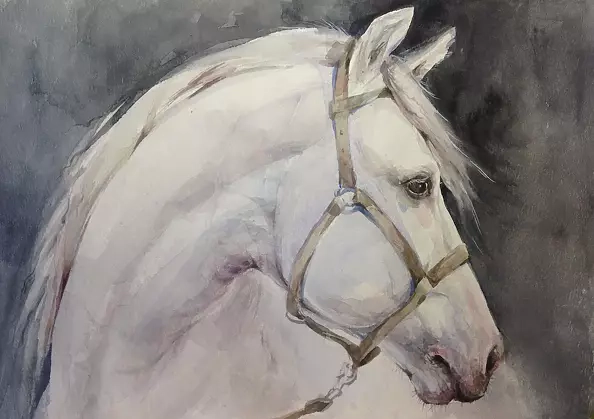 Halina Aksamit - Настроение