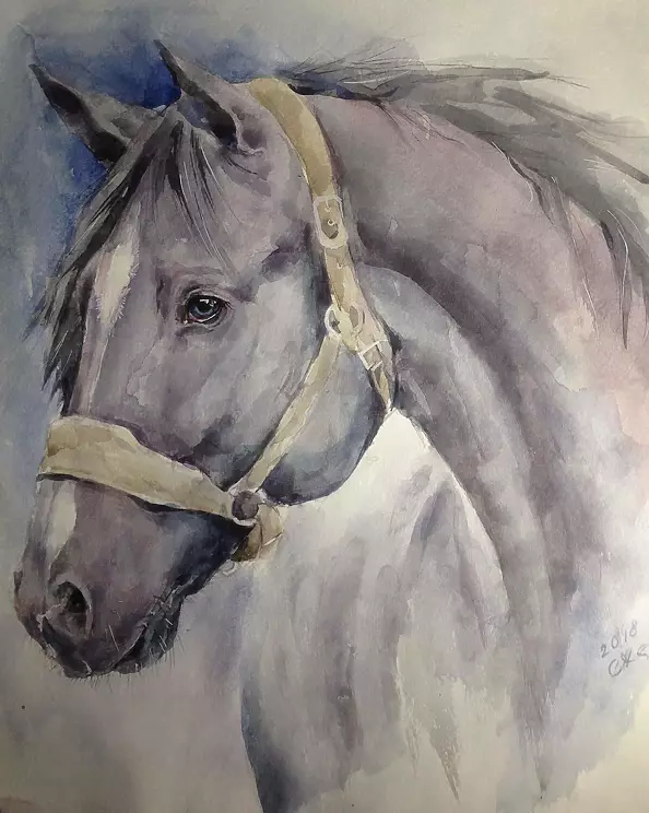 Halina Aksamit - Вороной