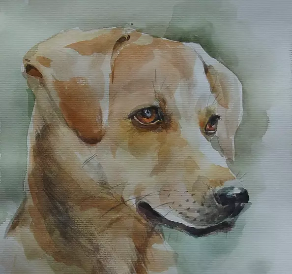 Halina Aksamit - Дружок