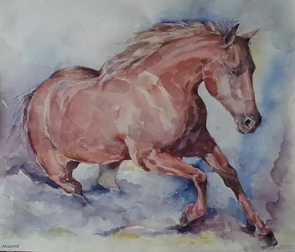 Halina Aksamit - Бег