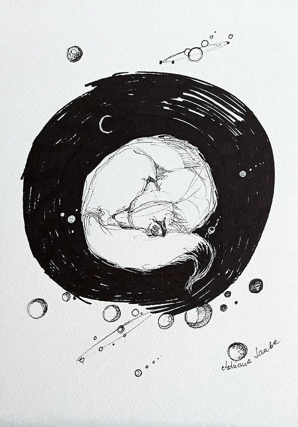 Adriana Laube - "The Fox's Space Dream"