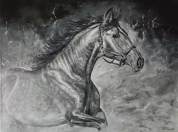 Agnieszka Młyńczyk AM Surma - Ku wolności