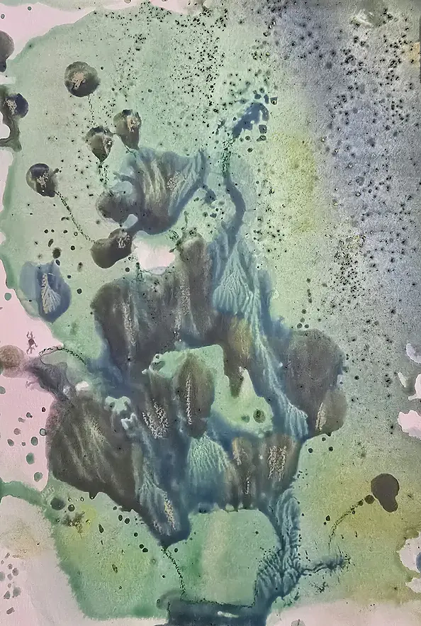 Ewa Mościszko - Akwarela  pt.Socotra