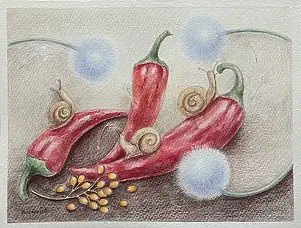 Natalia Butenko, Любов з перчиком, Watercolors, Pencil - paper, 30 x 21