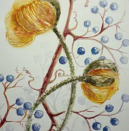 Natalia Butenko, Ботаника, Акварелі - папір, 11 x 19