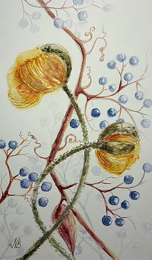 Natalia Butenko, Ботаника, Akwarele - papier, 11 x 19