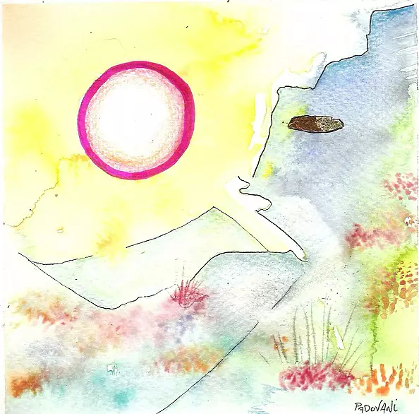 Padovani Nicolas - ?