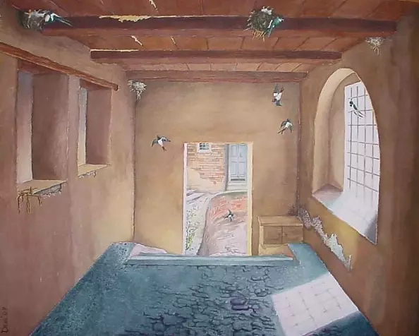 Silvano Drei - Nests of swallows