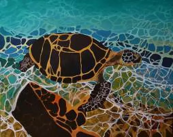 Wioletta Burnat - Turtle