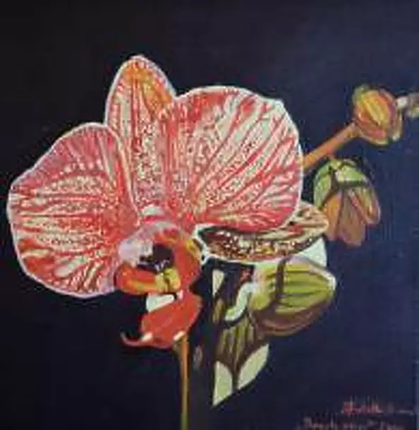 Wioletta Burnat -  Storczyk 