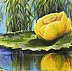 Yana Yeremenko - “Yellow water lily”  flower painting