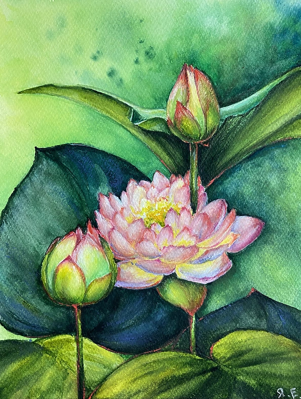 Yana Yeremenko - “Pink lily” watercolor, fiower painting