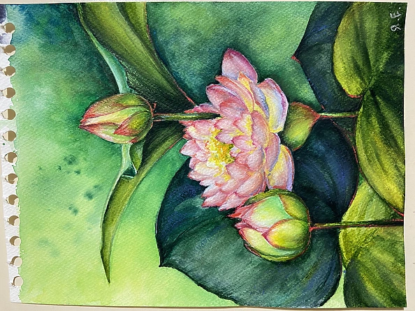 Yana Yeremenko - “Pink lily” watercolor, fiower painting